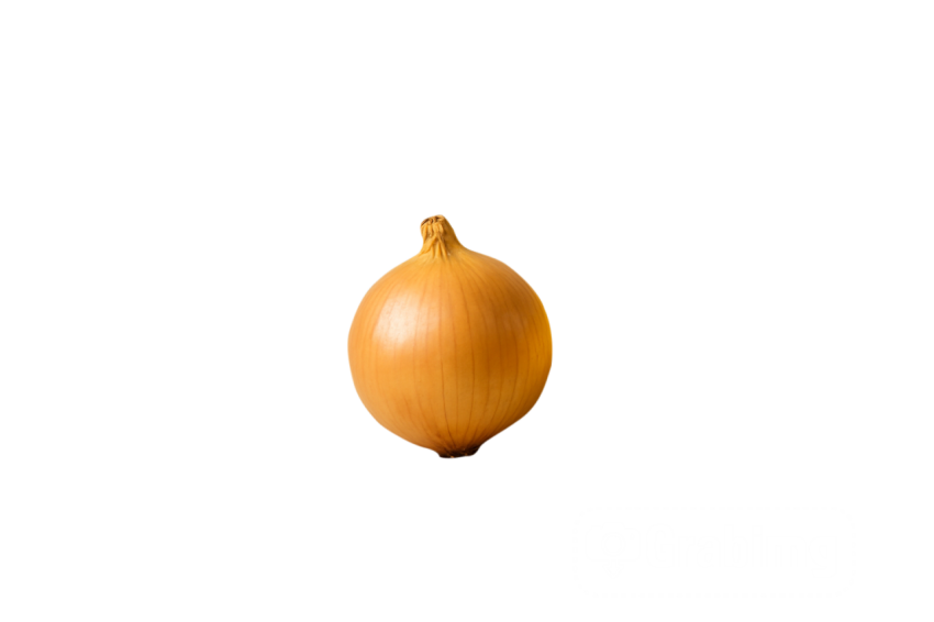 Fresh Onion PNG Transparent Background - High Quality Cutout Onion