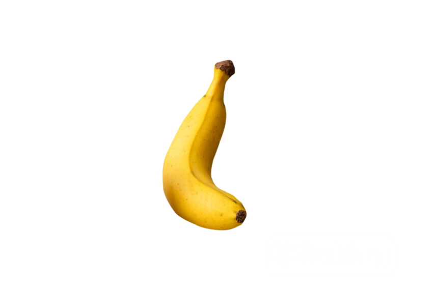 Fresh and High - Quality Transparent Background PNG Image Free Download