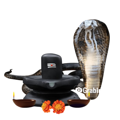 Free Download Nag Panchami PNG Image