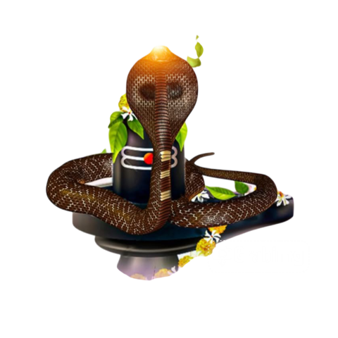 Nag Puja Free PNG Download